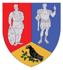 Stemă județ Hunedoara